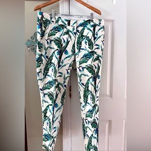 Tropical Tommy Bahama Look pants